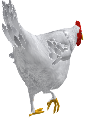 Leghorn